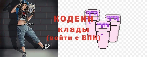 мдпв Ладушкин