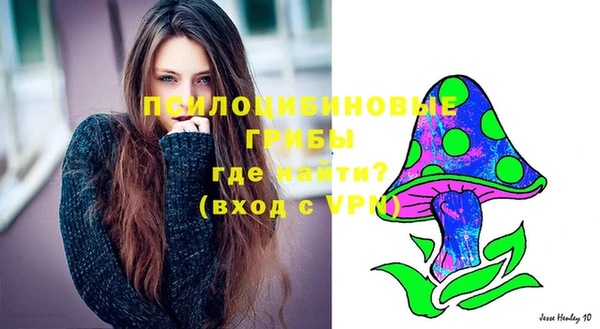 соль ск Липки
