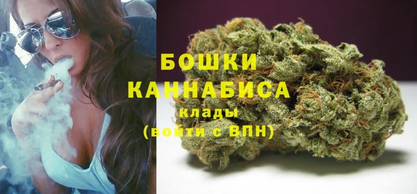 мдпв Ладушкин