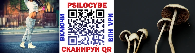Псилоцибиновые грибы Magic Shrooms  Юрьевец 